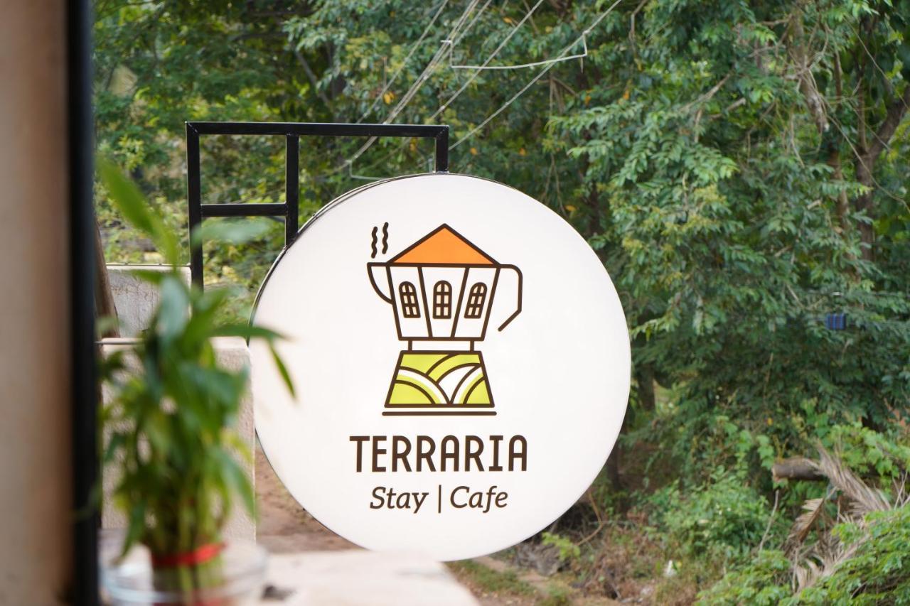 Terraria Stay And Cafe 卡纳科纳 外观 照片